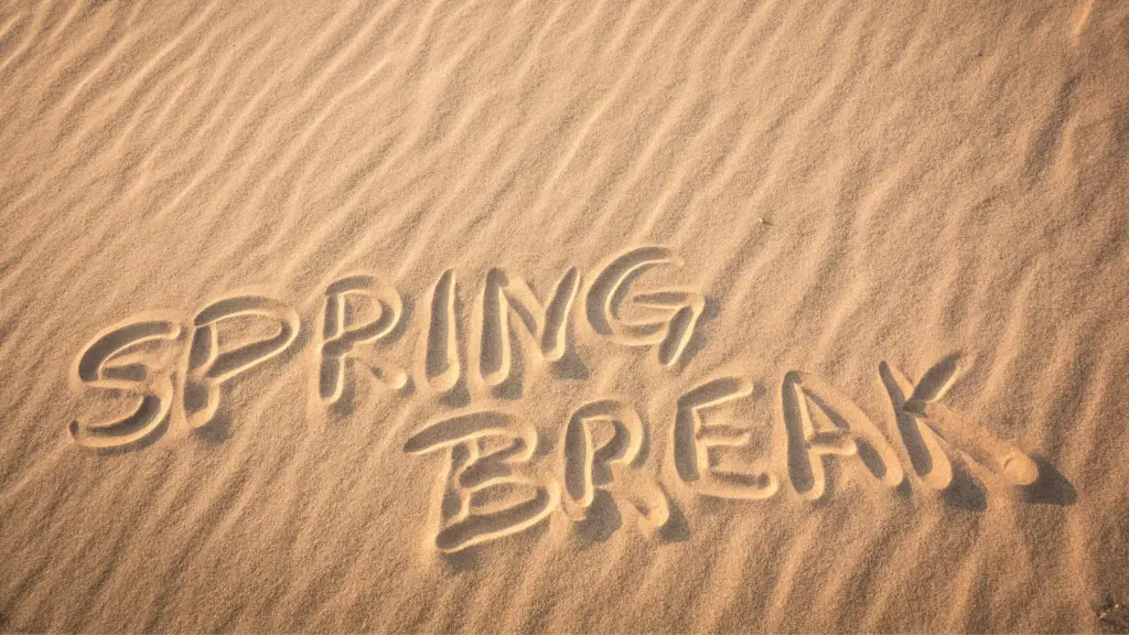 spring-break-2026-salty-dog