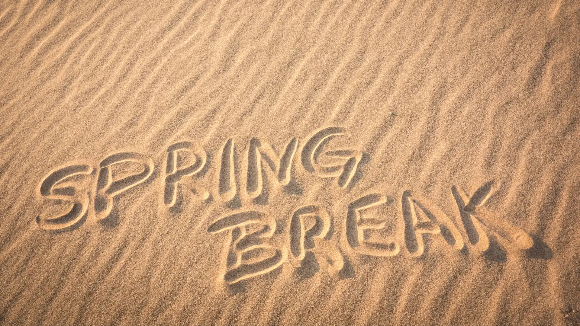 spring-break-2026-salty-dog